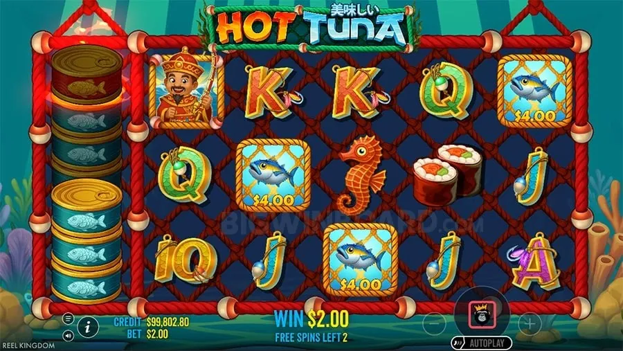spinplus Demystifying Casino Bonuses